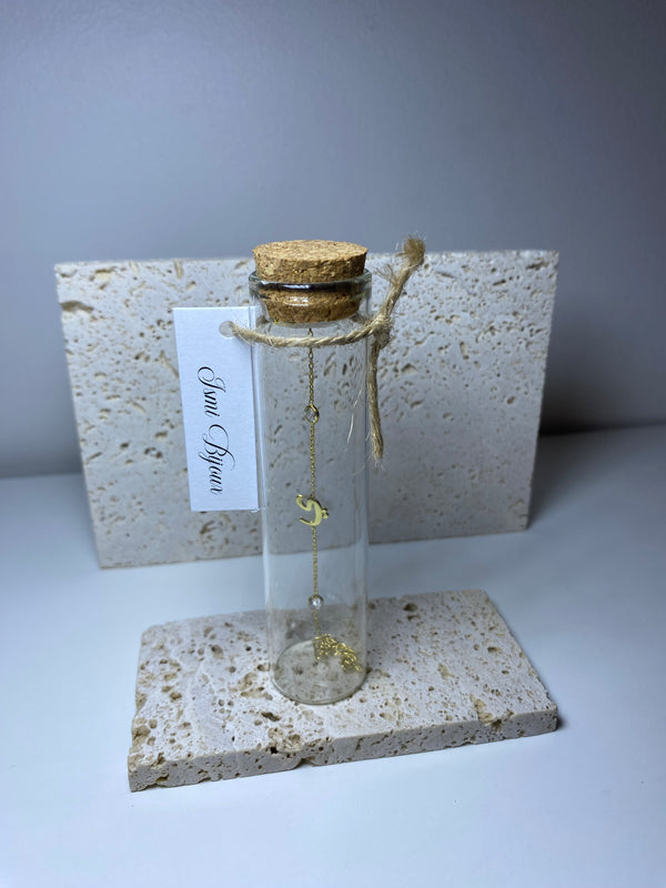 Message in a bottle